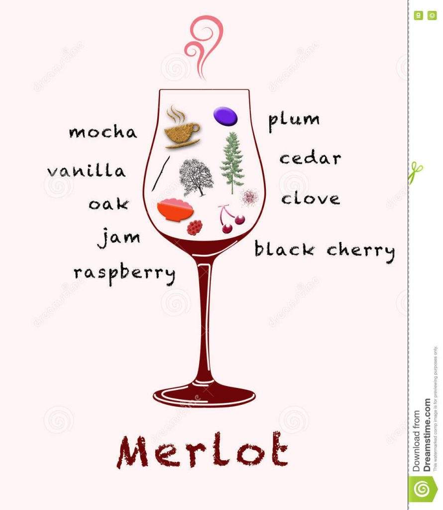De ce Merlot este vinul prieten cu toate gusturile? 2